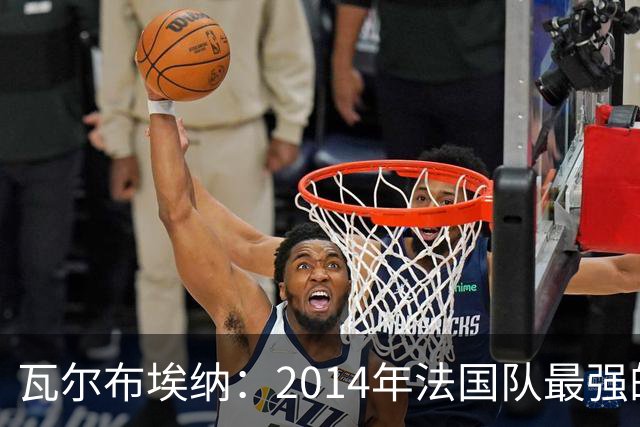 瓦尔布埃纳：2014年法国队最强的是博格巴，最被低估的是马图伊迪